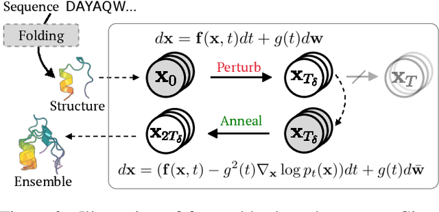 Figure 2 for Score-based Enhanced Sampling for Protein Molecular Dynamics