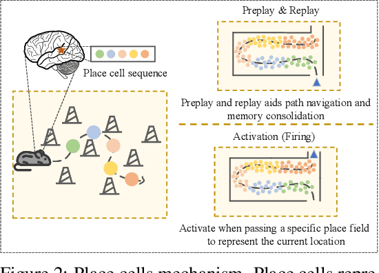 Figure 3 for NeuroPath: Neurobiology-Inspired Path Tracking and Reflection for Semantically Coherent Retrieval