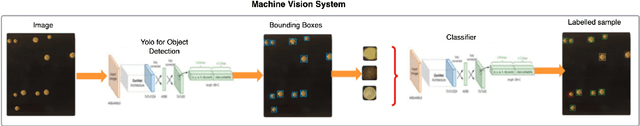 Figure 3 for Low-Cost Machine Vision System for Sorting Green Lentils (Lens Culinaris) Based on Pneumatic Ejection and Deep Learning
