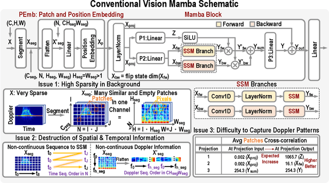Figure 1 for RadMamba: Efficient Human Activity Recognition through Radar-based Micro-Doppler-Oriented Mamba State-Space Model