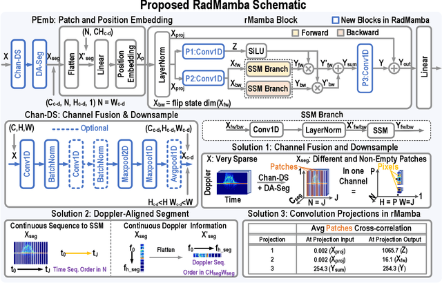 Figure 2 for RadMamba: Efficient Human Activity Recognition through Radar-based Micro-Doppler-Oriented Mamba State-Space Model