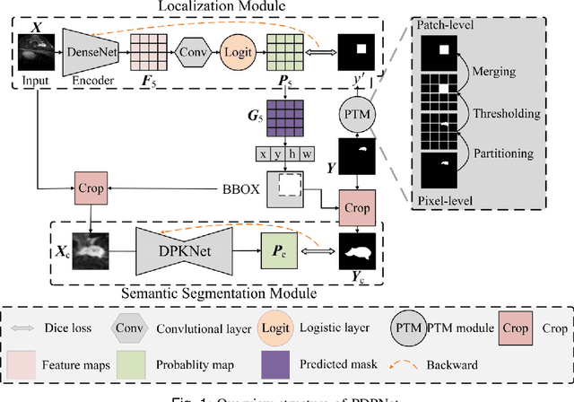 Figure 1 for Progressive Dual Priori Network for Generalized Breast Tumor Segmentation