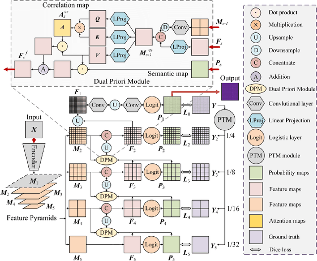 Figure 3 for Progressive Dual Priori Network for Generalized Breast Tumor Segmentation