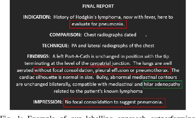 Figure 1 for CoRPA: Adversarial Image Generation for Chest X-rays Using Concept Vector Perturbations and Generative Models