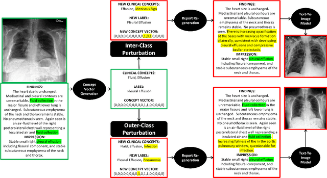 Figure 2 for CoRPA: Adversarial Image Generation for Chest X-rays Using Concept Vector Perturbations and Generative Models
