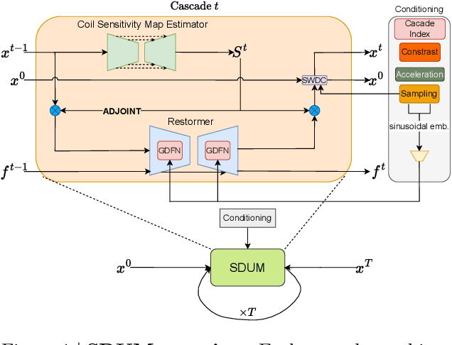 Figure 1 for SDUM: A Scalable Deep Unrolled Model for Universal MRI Reconstruction