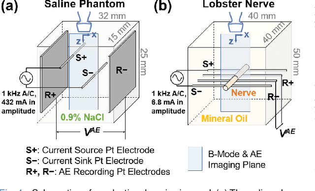 Figure 4 for Synthetic Aperture for High Spatial Resolution Acoustoelectric Imaging