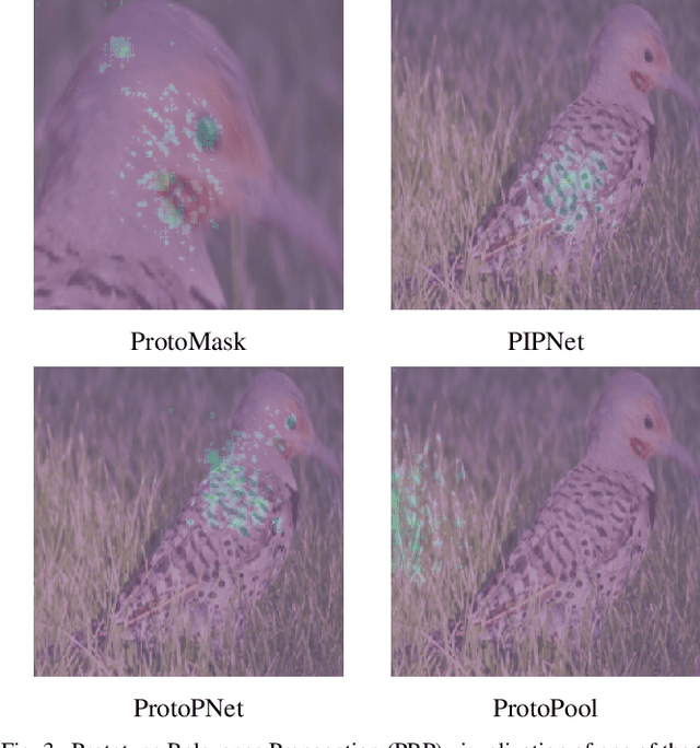 Figure 3 for ProtoMask: Segmentation-Guided Prototype Learning