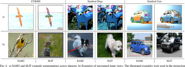 Figure 4 for ProtoMask: Segmentation-Guided Prototype Learning