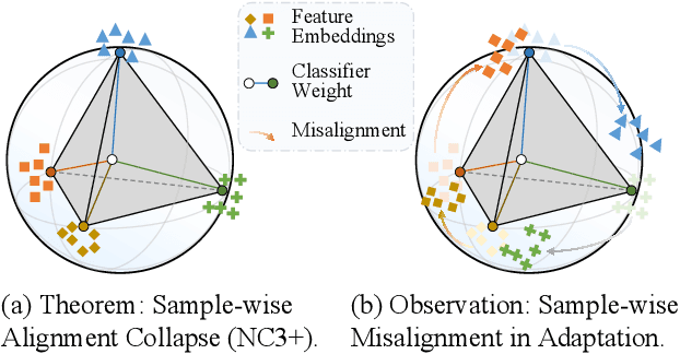 Figure 1 for Neural Collapse in Test-Time Adaptation