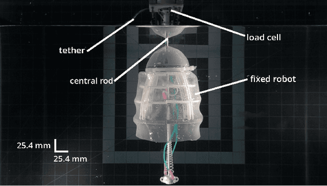 Figure 4 for Bistable SMA-driven engine for pulse-jet locomotion in soft aquatic robots