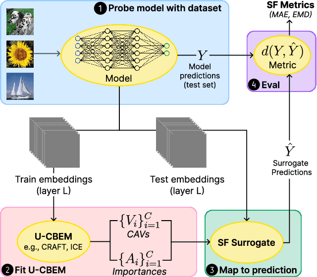Figure 2 for Towards Spatially-Aware and Optimally Faithful Concept-Based Explanations