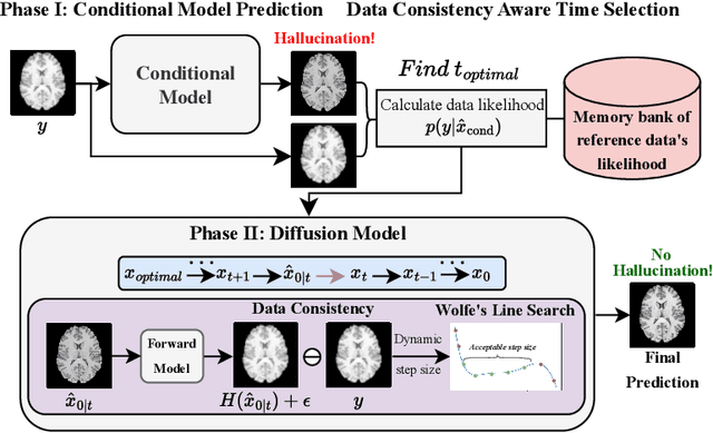 Figure 1 for Tackling Hallucination from Conditional Models for Medical Image Reconstruction with DynamicDPS
