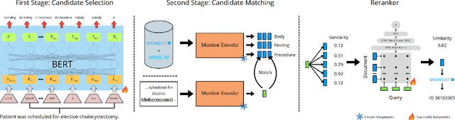 Figure 4 for SNOBERT: A Benchmark for clinical notes entity linking in the SNOMED CT clinical terminology