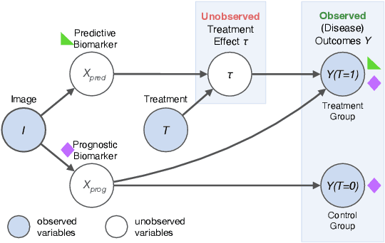 Figure 1 for Enhancing predictive imaging biomarker discovery through treatment effect analysis