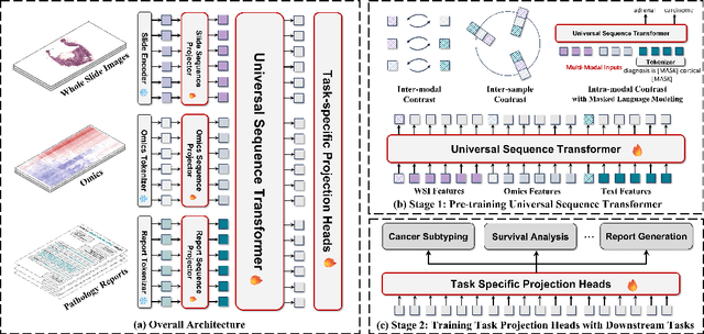 Figure 1 for Any-to-Any Learning in Computational Pathology via Triplet Multimodal Pretraining