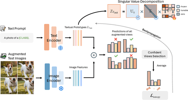 Figure 1 for Test-Time Spectrum-Aware Latent Steering for Zero-Shot Generalization in Vision-Language Models