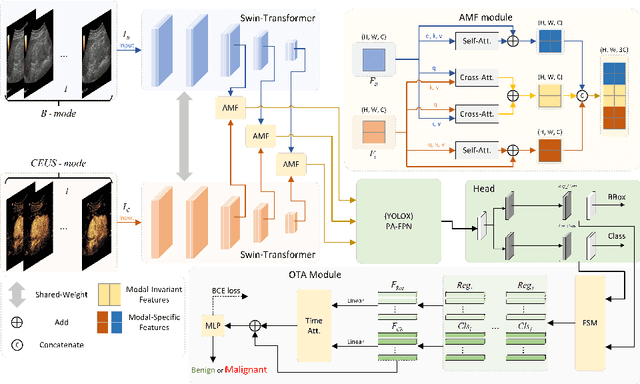 Figure 1 for MUVF-YOLOX: A Multi-modal Ultrasound Video Fusion Network for Renal Tumor Diagnosis