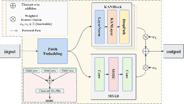 Figure 3 for U-MAN: U-Net with Multi-scale Adaptive KAN Network for Medical Image Segmentation