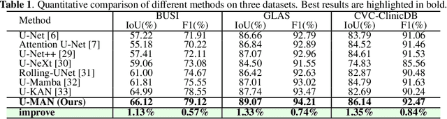 Figure 2 for U-MAN: U-Net with Multi-scale Adaptive KAN Network for Medical Image Segmentation