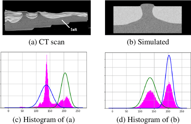 Figure 1 for Level set based particle filter driven by optical flow: an application to track the salt boundary from X-ray CT time-series