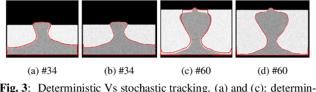 Figure 3 for Level set based particle filter driven by optical flow: an application to track the salt boundary from X-ray CT time-series