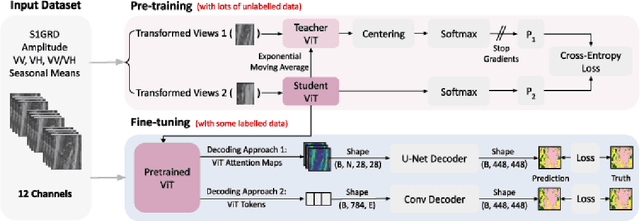 Figure 1 for Exploring DINO: Emergent Properties and Limitations for Synthetic Aperture Radar Imagery