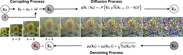 Figure 1 for Diffusion-C: Unveiling the Generative Challenges of Diffusion Models through Corrupted Data