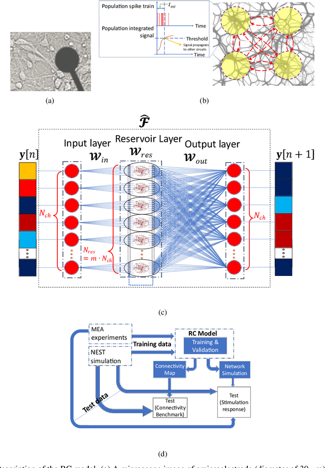 Figure 1 for Reservoir-Computing Model for Mapping and Forecasting Neuronal Interactions from Electrophysiological Data