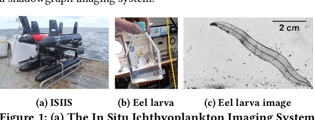 Figure 1 for ZooplanktonBench: A Geo-Aware Zooplankton Recognition and Classification Dataset from Marine Observations