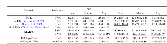 Figure 4 for MedCL: Learning Consistent Anatomy Distribution for Scribble-supervised Medical Image Segmentation