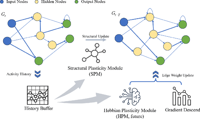Figure 1 for Self-Motivated Growing Neural Network for Adaptive Architecture via Local Structural Plasticity