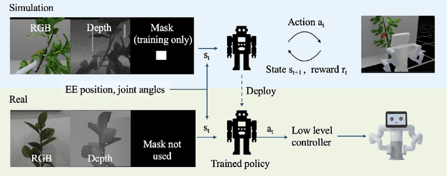 Figure 1 for Find the Fruit: Designing a Zero-Shot Sim2Real Deep RL Planner for Occlusion Aware Plant Manipulation