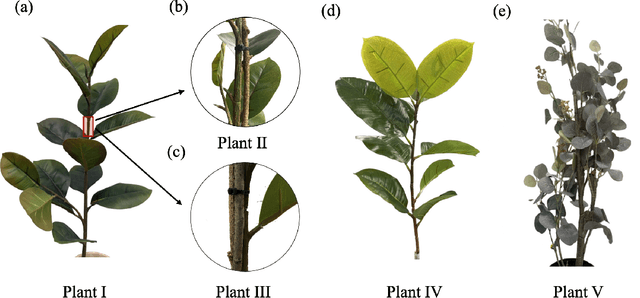 Figure 2 for Find the Fruit: Designing a Zero-Shot Sim2Real Deep RL Planner for Occlusion Aware Plant Manipulation