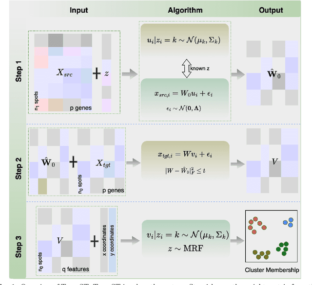 Figure 1 for TransST: Transfer Learning Embedded Spatial Factor Modeling of Spatial Transcriptomics Data