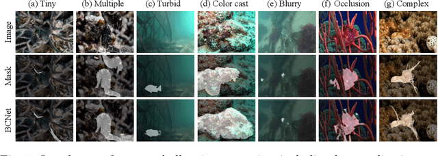 Figure 1 for SLENet: A Guidance-Enhanced Network for Underwater Camouflaged Object Detection