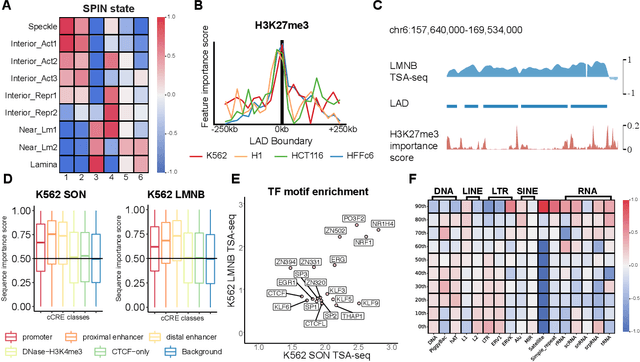 Figure 4 for UNADON: Transformer-based model to predict genome-wide chromosome spatial position
