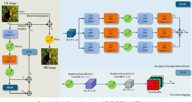 Figure 1 for TMSR: Tiny Multi-path CNNs for Super Resolution