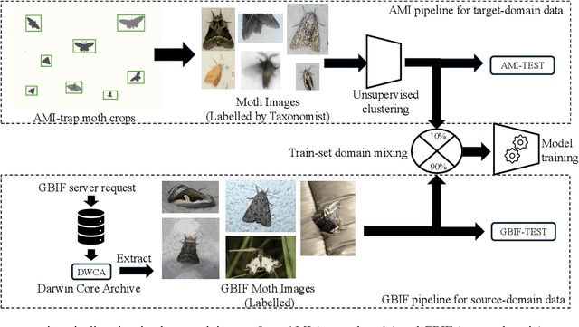 Figure 1 for Bridging Domain Gaps for Fine-Grained Moth Classification Through Expert-Informed Adaptation and Foundation Model Priors