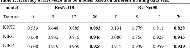Figure 2 for RCdpia: A Renal Carcinoma Digital Pathology Image Annotation dataset based on pathologists