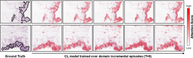 Figure 4 for Attention-based Generative Latent Replay: A Continual Learning Approach for WSI Analysis
