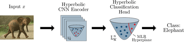 Figure 1 for Hyperbolic Geometry in Computer Vision: A Novel Framework for Convolutional Neural Networks
