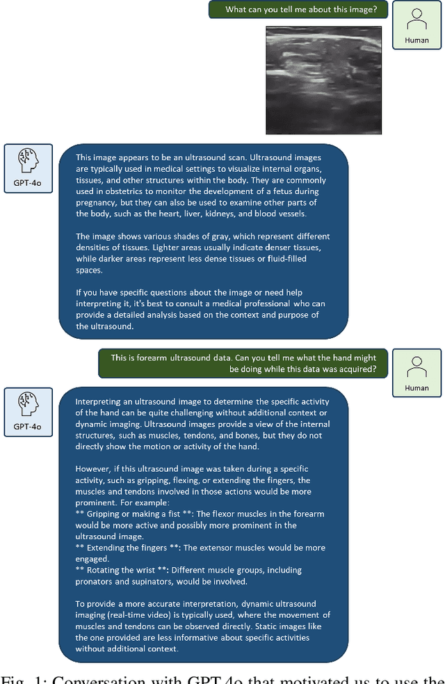 Figure 1 for GPT Sonograpy: Hand Gesture Decoding from Forearm Ultrasound Images via VLM