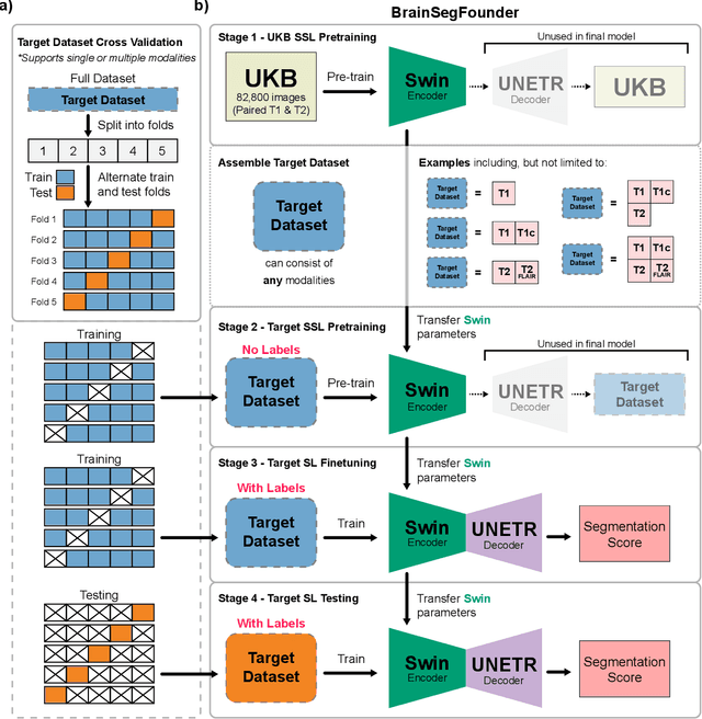 Figure 1 for BrainFounder: Towards Brain Foundation Models for Neuroimage Analysis