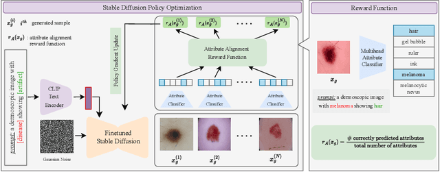 Figure 3 for RL4Med-DDPO: Reinforcement Learning for Controlled Guidance Towards Diverse Medical Image Generation using Vision-Language Foundation Models