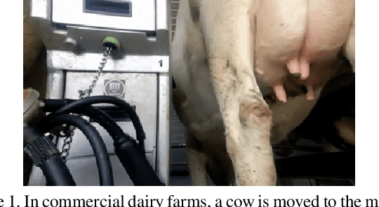 Figure 1 for A Self-attention Residual Convolutional Neural Network for Health Condition Classification of Cow Teat Images