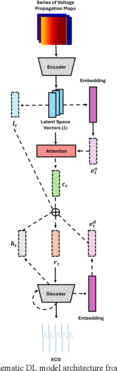 Figure 1 for Towards Deep Learning Surrogate for the Forward Problem in Electrocardiology: A Scalable Alternative to Physics-Based Models