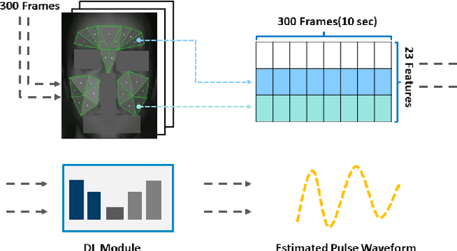 Figure 1 for Internship Report: Benchmark of Deep Learning-based Imaging PPG in Automotive Domain