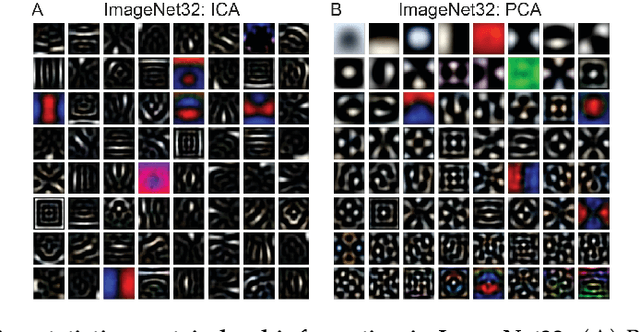 Figure 2 for On How Iterative Magnitude Pruning Discovers Local Receptive Fields in Fully Connected Neural Networks