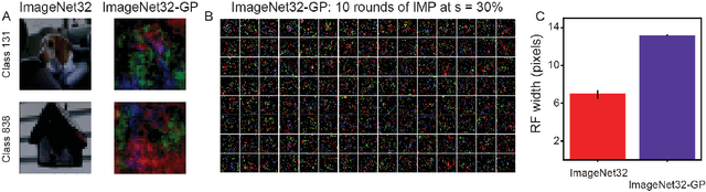 Figure 3 for On How Iterative Magnitude Pruning Discovers Local Receptive Fields in Fully Connected Neural Networks